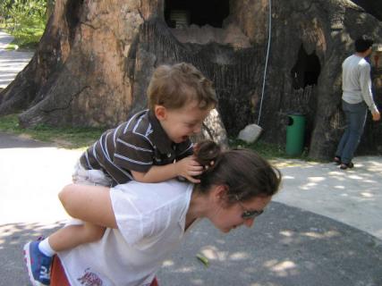 November 2008 118.jpg